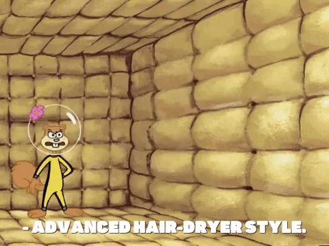 a GIF of Sandy from Spongebob aiming a hair dryer at an unseen enemy while exclaiming "Advanced Hair-Dryer Style"