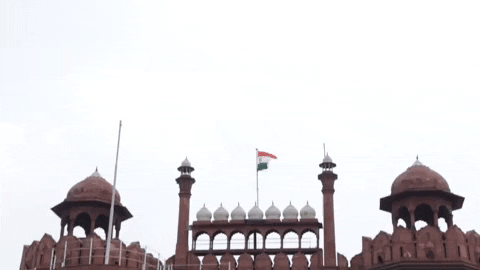 Red fort GIF
