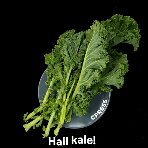 Microverdes de alface