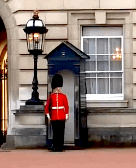 факты о сне, что мы не знали о сне