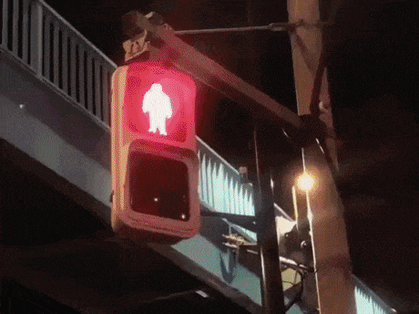 This crosswalk in Tokyo in wow gifs