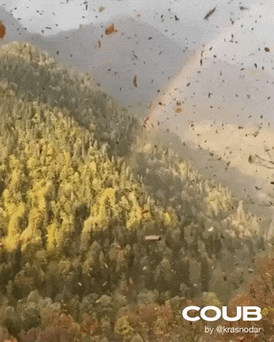 Its fall time in wow gifs