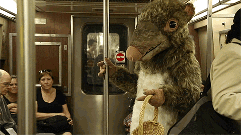 Subway rat