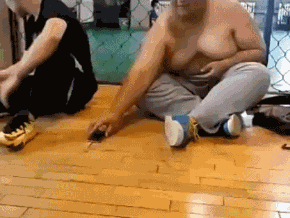 giphy.gif