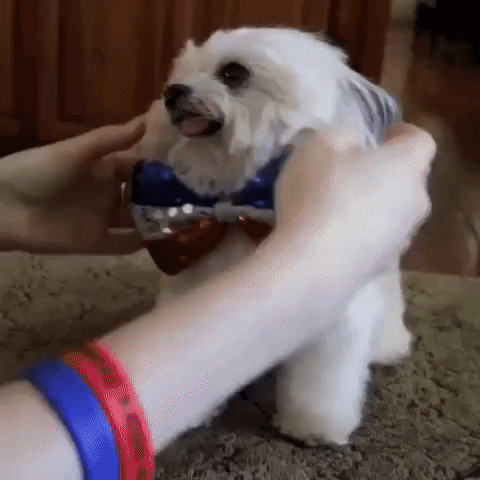 하이파이브.gif | 인스티즈