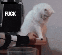 200w.gif