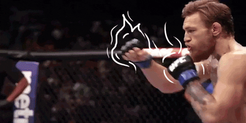 Conor McGregor ufc fighting punch kick