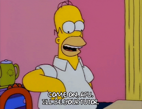 Homer from the "Simpsons" is saying "Come on, Apu. I'll be your tutor."