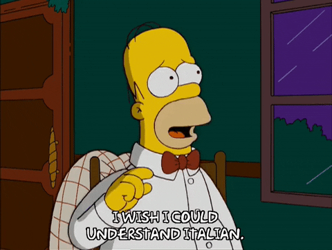 Homer Simpson: I wish i could understand italian.