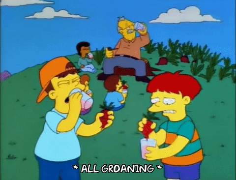 The Simpsons season 6 garden unhappy 6x25