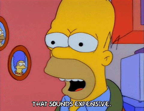 homer simpson saying "That sounds expensive"