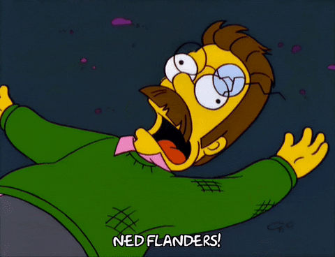 Ned Flanders steso a terra