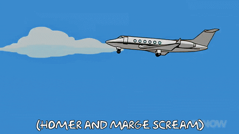 The Simpsons Airplane GIF - Find & Share on GIPHY