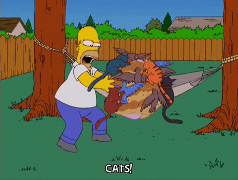 hang in there cat simpsons