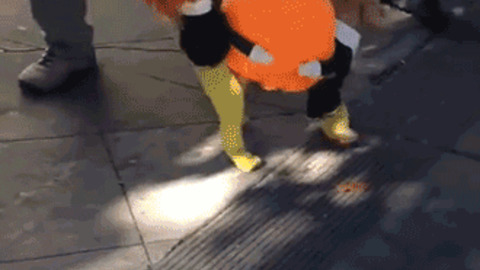 Halloween Doggy best Gif