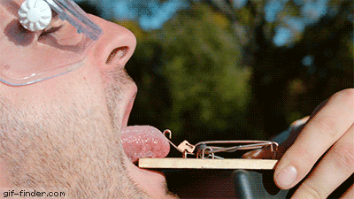 imagenes gif,imagenes graciosas, las mejores imagenes, imagenes graciosas, chistes, risas