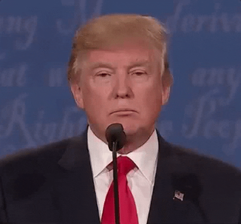 Smug Donald Trump GIF by Election 2016 - Find & Share on GIPHY