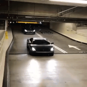 No Ticket For Lambo in funny gifs