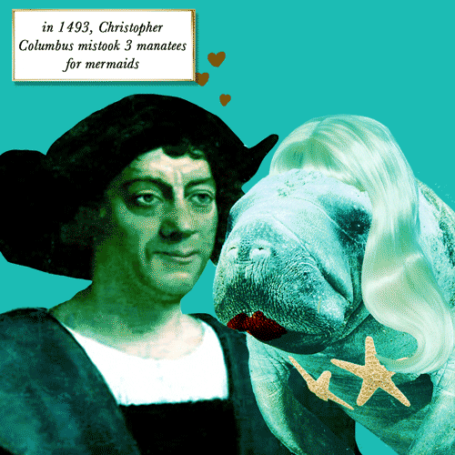 Ein GIF über Christopher Columbus.