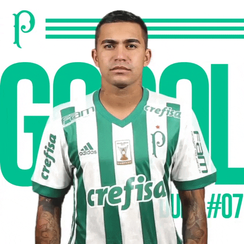 Dudu GIF by SE Palmeiras - Find & Share on GIPHY