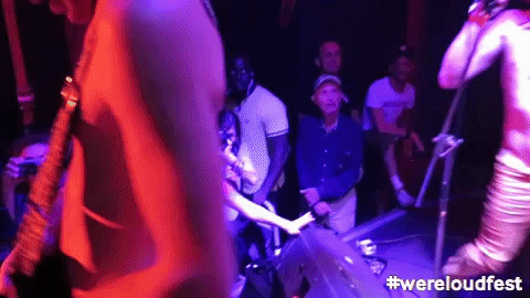 Music Festival Wereloudfest GIF