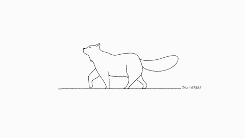 GIF einer gezeichneten laufenden Katze