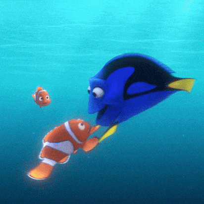 GIF by Disney/Pixar's Finding Dory - Find & Share on GIPHY