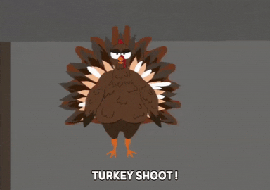 turkey gif live
