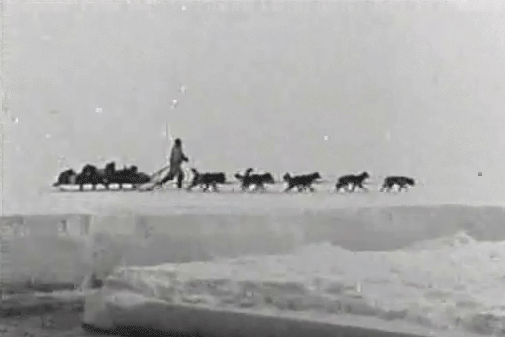 US National Archives vintage snow dogs ice