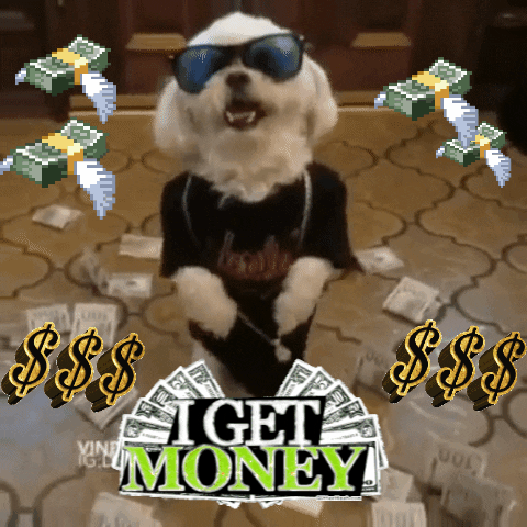Dog Money GIFs - Find & Share on GIPHY