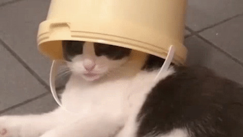 Helmet Bucket best Gif