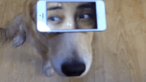 New Model iPhone best Gif