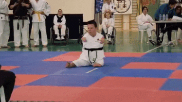 giphy.gif