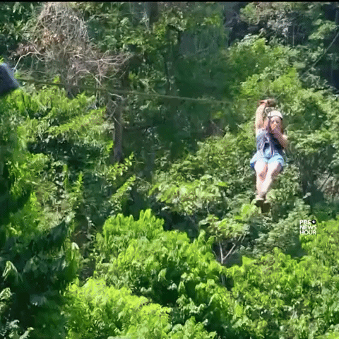 Travel adventure gif