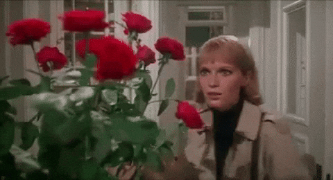 Flowers GIFs - Find & Share on GIPHY