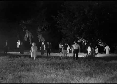 Night Of The Living Dead Horror GIF - Find & Share on GIPHY