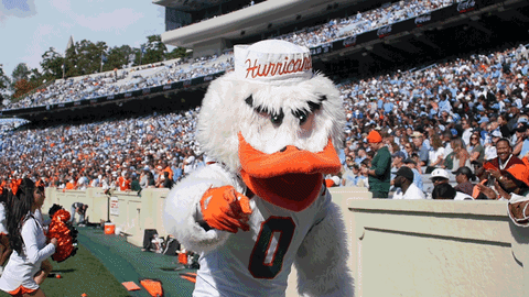 Happy College Football GIF by Miami Hurricanes