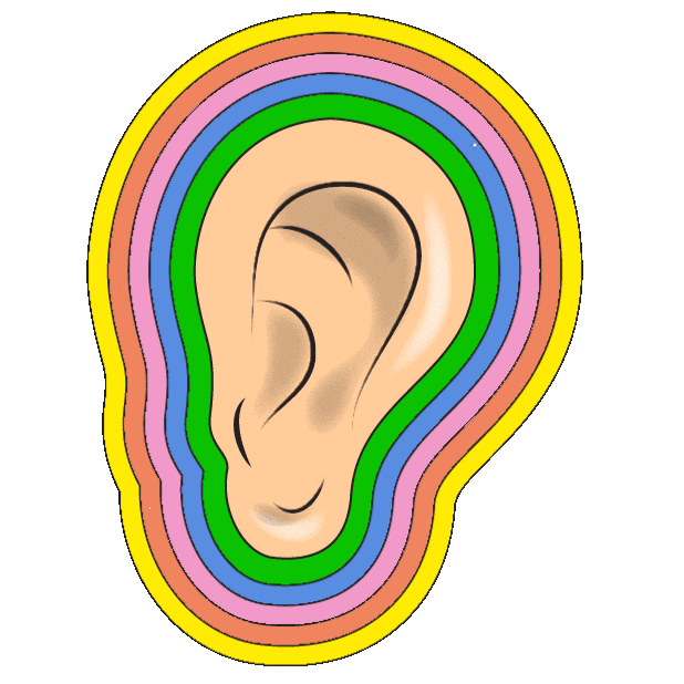 Get Ear Anatomy Diagram Gif vrogue.co
