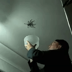 Worst Nightmare in funny gifs