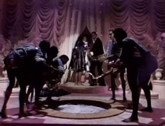 Saturday Night Live GIF - Find & Share on GIPHY Saturday Night Live GIF - Find & Share on GIPHY