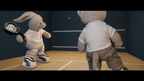 Racquetball GIFs - Find & Share on GIPHY