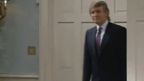 Donald's Status Now funny Gif