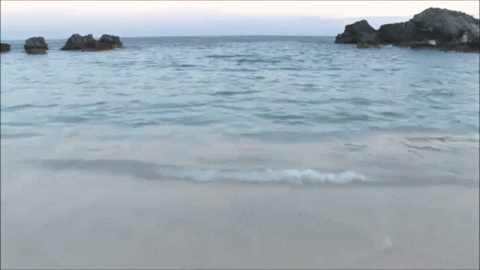 Blue Water GIFs - Find & Share on GIPHY