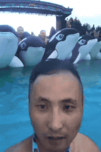 Here Come The Wave in funny gifs