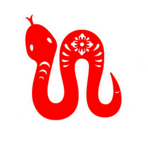 Animated GIF - Find & Share on GIPHY