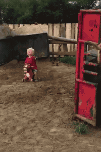 Little Cowboy in funny gifs