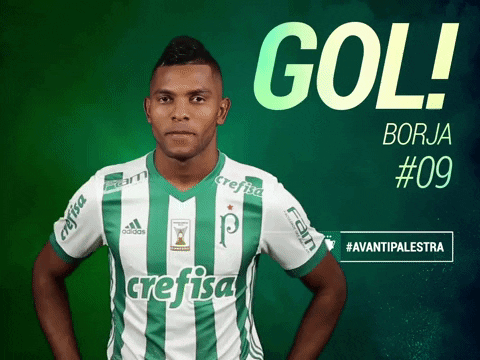 Borja GIF by SE Palmeiras - Find & Share on GIPHY