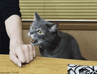 200w.gif