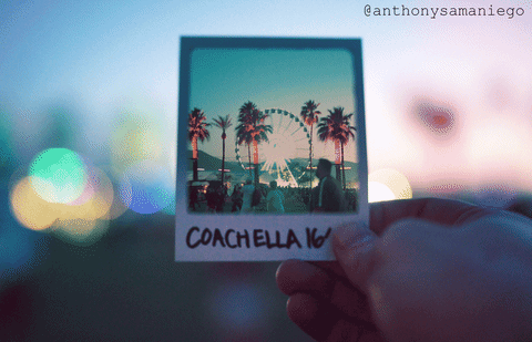 Music Festival animated GIF