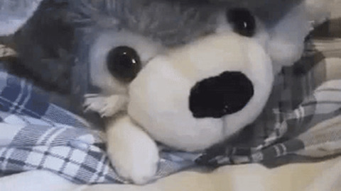 Cute best Gif